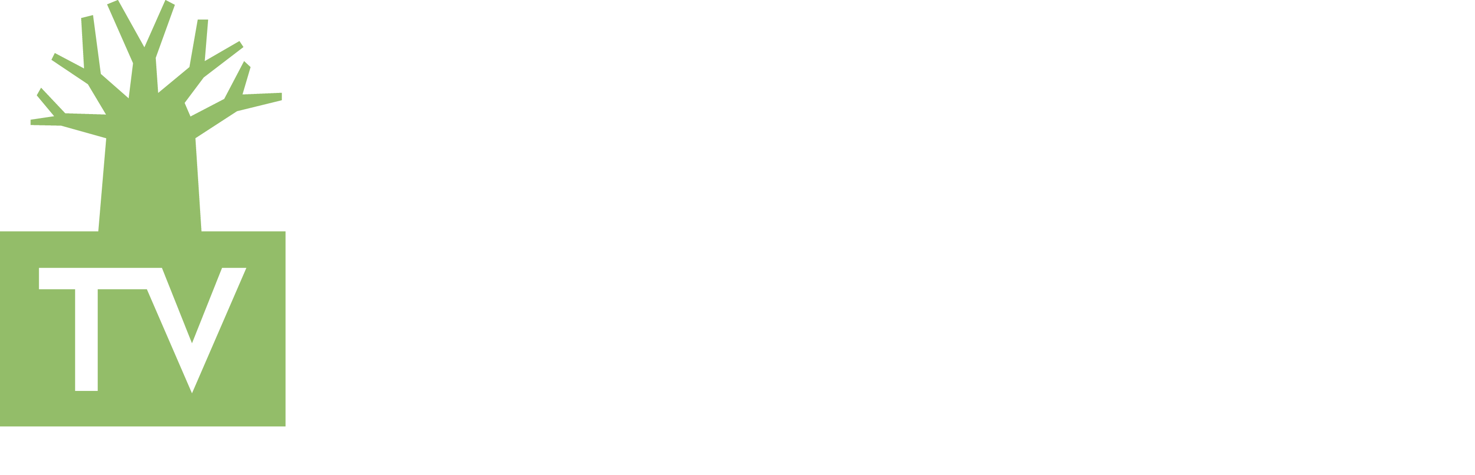 TV BAOBAB